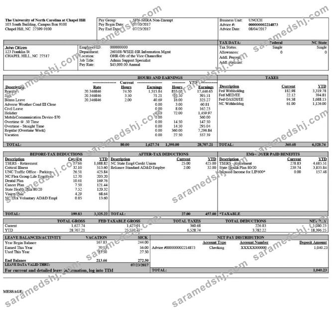 THE UNIVERSITY of North Carolina at Chapel Hill paystub in Word and PDF formats
